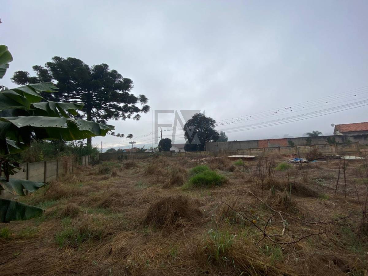 Terreno à venda em Ponta Grossa, Chapada, 656,21m²