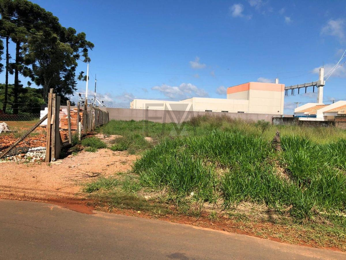 Terreno, 495,3m², à venda em Ponta Grossa, Colônia Dona Luíza - Francieli Mesquita Broker