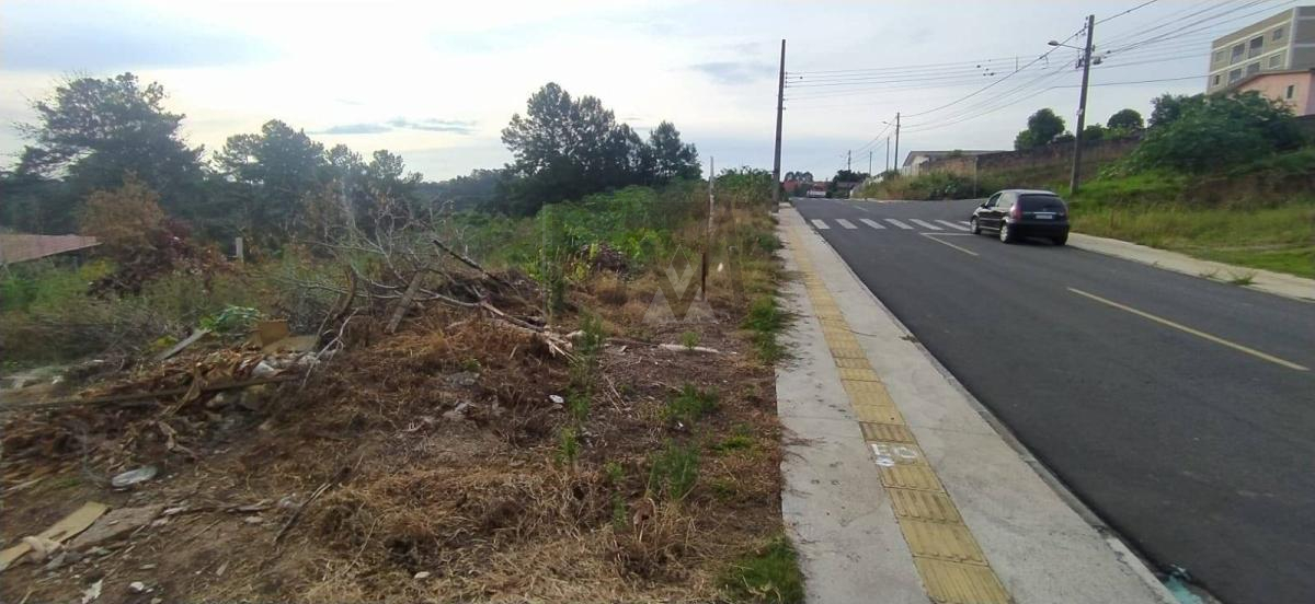 Terreno, 525m², à venda em Ponta Grossa, Contorno - Francieli Mesquita Broker